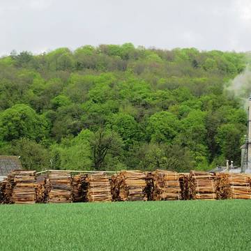 Bornes de la forêt de Mirebeau-sur-Bèze